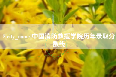 宣城中国消防救援学院历年录取分数线