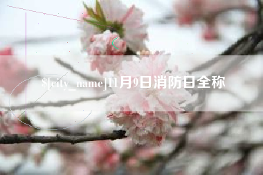 宣城11月9日消防日全称