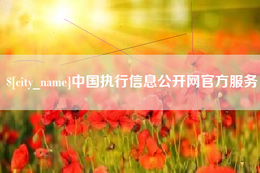 宣城中国执行信息公开网官方服务