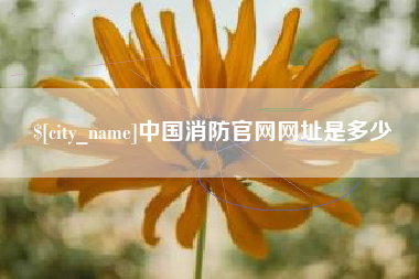 宣城中国消防官网网址是多少