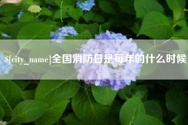 宣城全国消防日是每年的什么时候