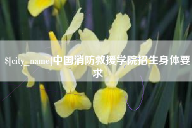 宣城中国消防救援学院招生身体要求
