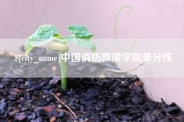 宣城中国消防救援学院录分线