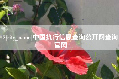 宣城中国执行信息查询公开网查询官网