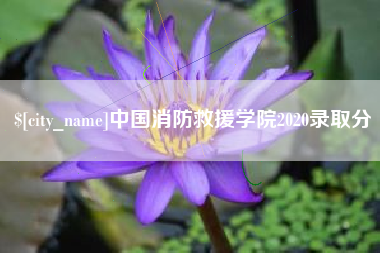 宣城中国消防救援学院2020录取分