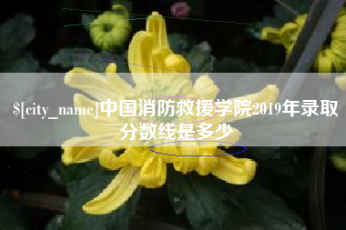 宣城中国消防救援学院2019年录取分数线是多少