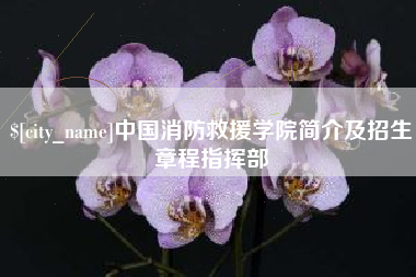 宣城中国消防救援学院简介及招生章程指挥部