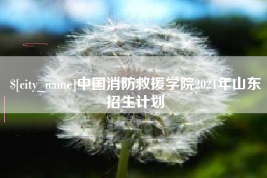 宣城中国消防救援学院2021年山东招生计划