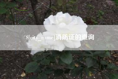 宣城消防证的查询