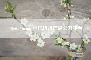 宣城中国执行信息公开平台