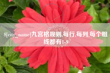 宣城九宫格规则,每行,每列,每个粗线都有1-9