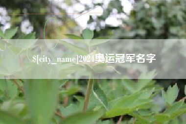宣城2024奥运冠军名字