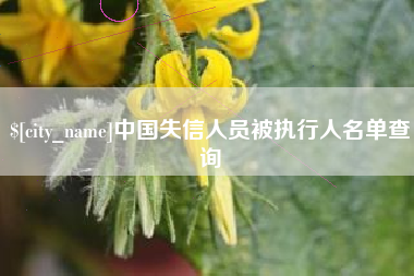 宣城中国失信人员被执行人名单查询