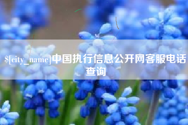 宣城中国执行信息公开网客服电话查询