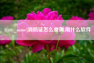 宣城消防证怎么查询,用什么软件