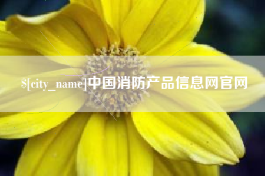 宣城中国消防产品信息网官网