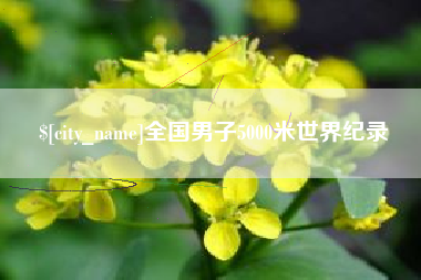 宣城全国男子5000米世界纪录