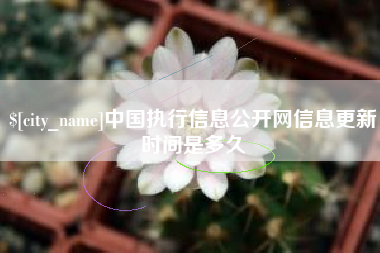 宣城中国执行信息公开网信息更新时间是多久