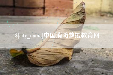 宣城中国消防救援教育网