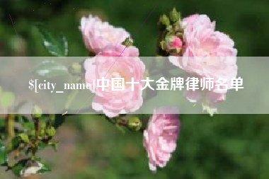 宣城中国十大金牌律师名单