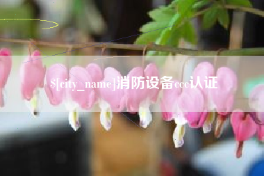 宣城消防设备ccc认证