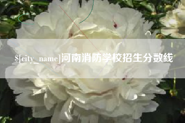 宣城河南消防学校招生分数线