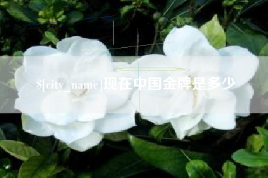 宣城现在中国金牌是多少
