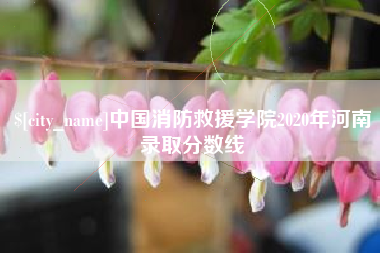 宣城中国消防救援学院2020年河南录取分数线