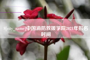 宣城中国消防救援学院2021年报名时间