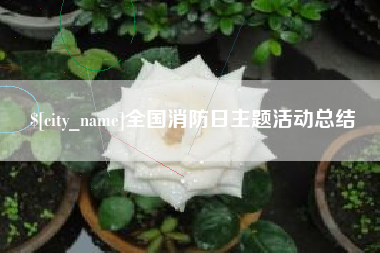 宣城全国消防日主题活动总结