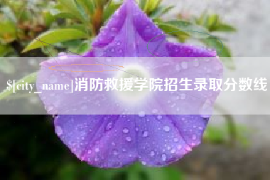 宣城消防救援学院招生录取分数线
