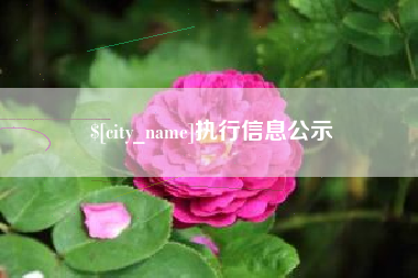 宣城执行信息公示
