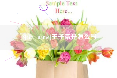 宣城王子豪是怎么写