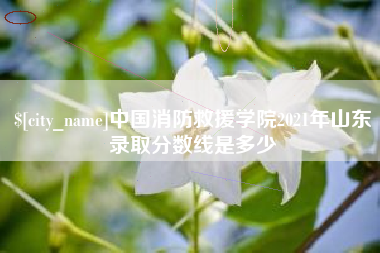 宣城中国消防救援学院2021年山东录取分数线是多少