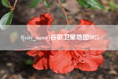 宣城谷歌卫星地图2025