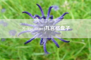 宣城九宫格盘子