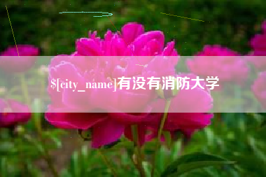 宣城有没有消防大学