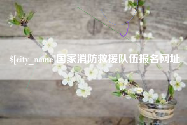 宣城国家消防救援队伍报名网址