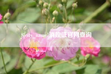 宣城消控证官网查询