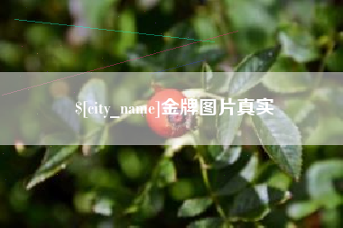 宣城金牌图片真实