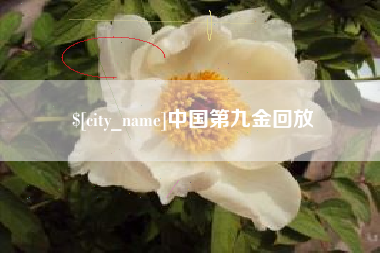 宣城中国第九金回放
