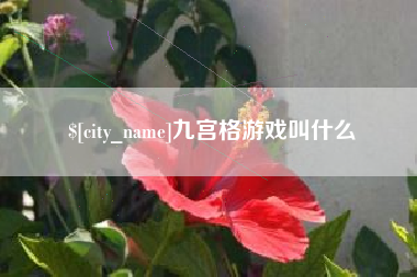 宣城九宫格游戏叫什么