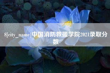 宣城中国消防救援学院2021录取分数
