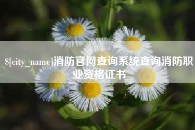 宣城消防官网查询系统查询消防职业资格证书