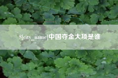 宣城中国夺金大项是谁
