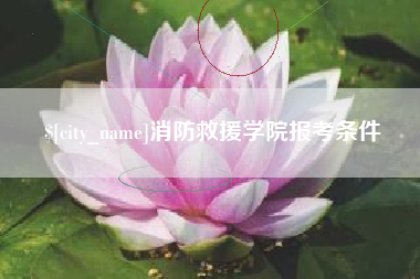 宣城消防救援学院报考条件