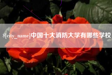 宣城中国十大消防大学有哪些学校