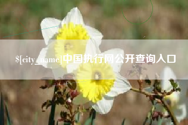 宣城中国执行网公开查询入口