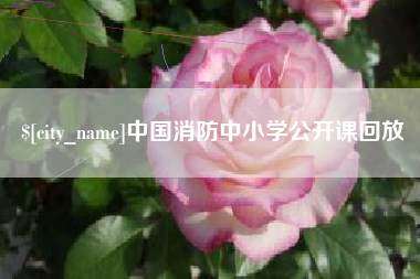 宣城中国消防中小学公开课回放
