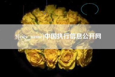 宣城中国执行信息公开网
